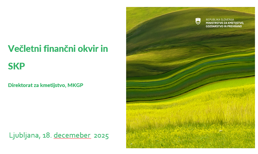 Posnetek zaslona 2025-12-19 095529.png